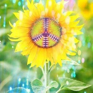 Meet your Posher, Deeann